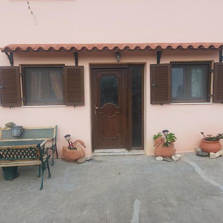 Kastro Studios Pigí Camera foto
